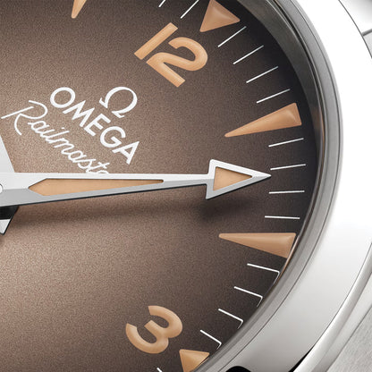 Seamaster Railmaster 38mm - Brown on Bracelet