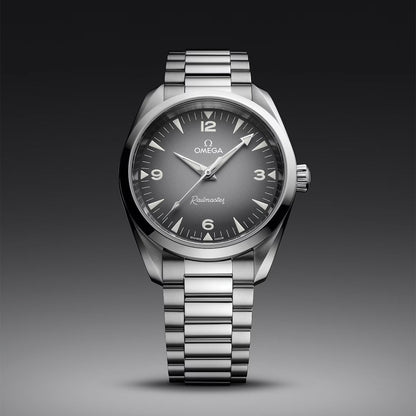 Seamaster Railmaster 38mm - Grey on Bracelet