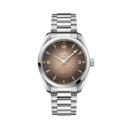 Seamaster Railmaster 38mm - Brown on Bracelet