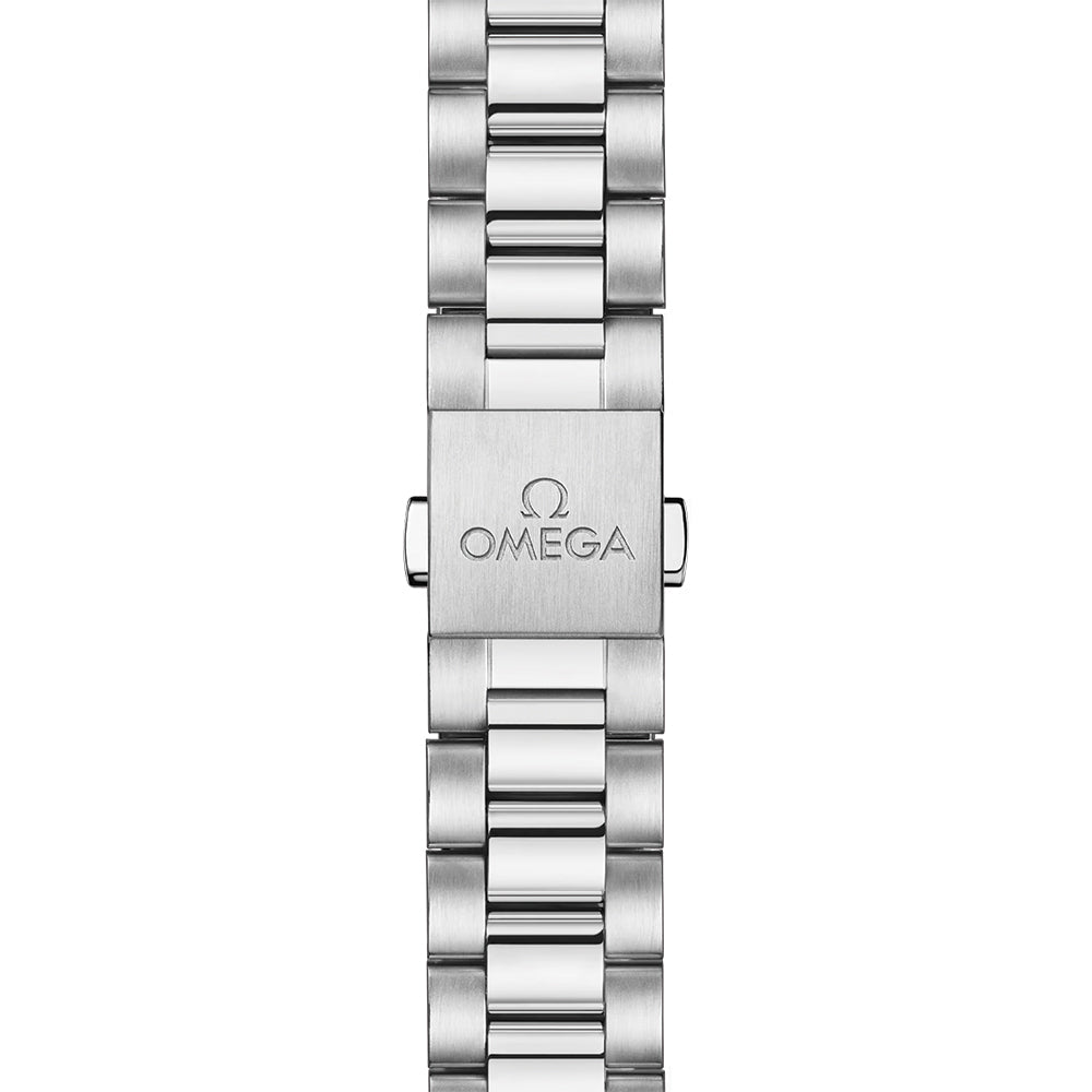 Seamaster Railmaster 38mm - Brown on Bracelet