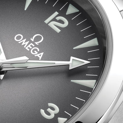 Seamaster Railmaster 38mm - Grey on Bracelet