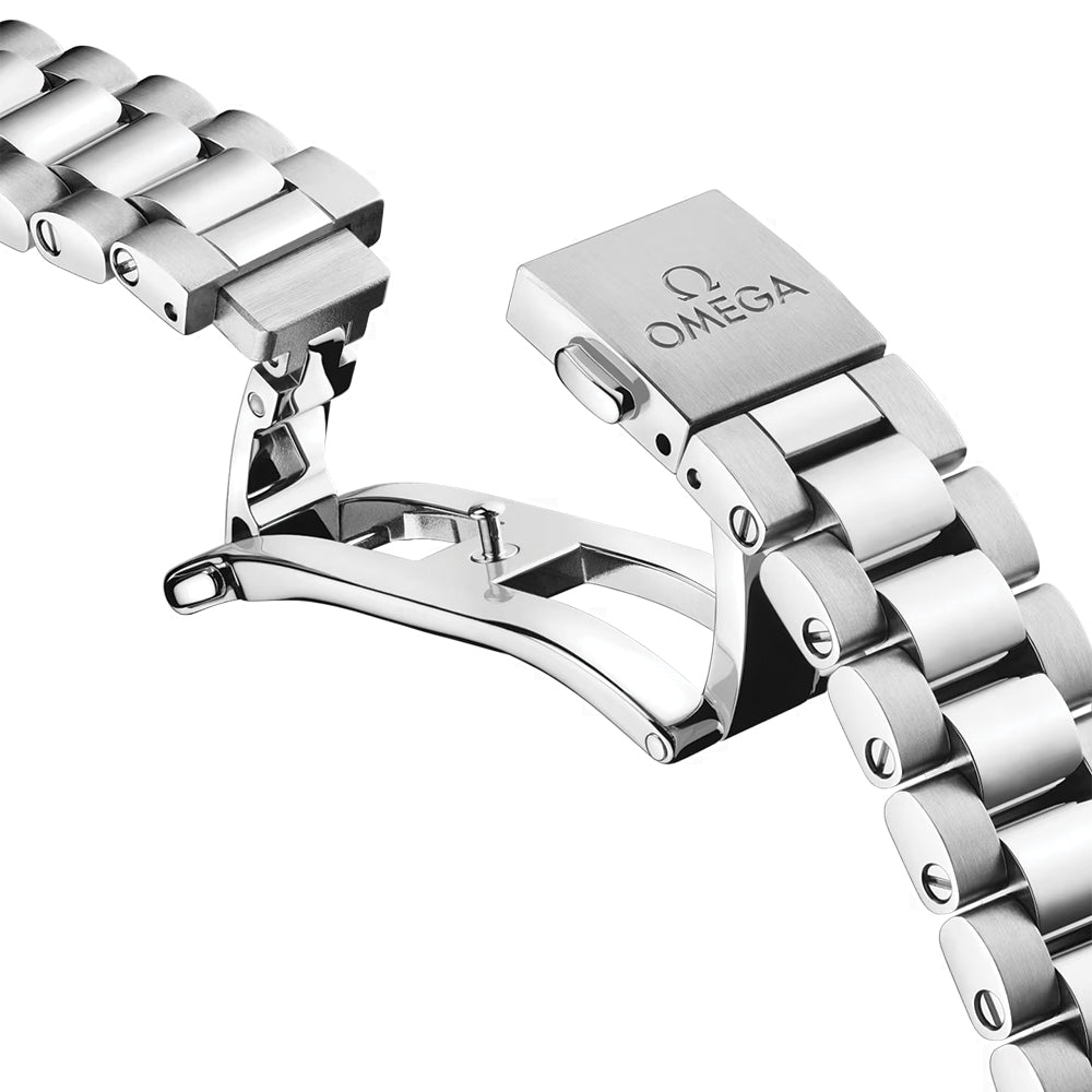 Seamaster Railmaster 38mm - Brown on Bracelet