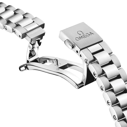 Seamaster Railmaster 38mm - Brown on Bracelet