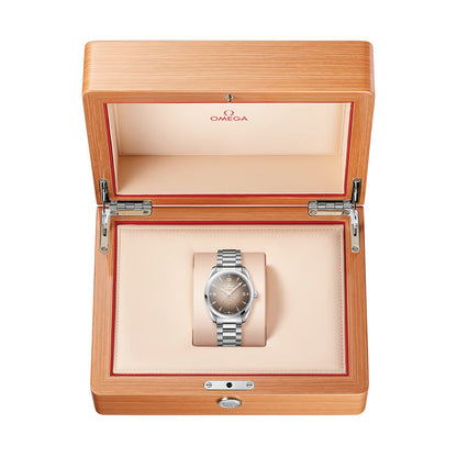 Seamaster Railmaster 38mm - Brown on Bracelet