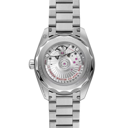 Seamaster Railmaster 38mm - Grey on Bracelet