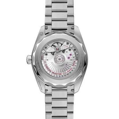 Seamaster Railmaster 38mm - Brown on Bracelet