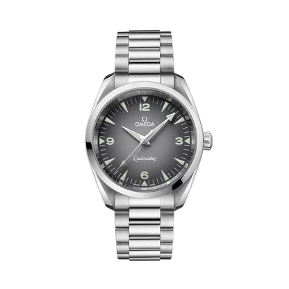 Seamaster Railmaster 38mm - Grey on Bracelet